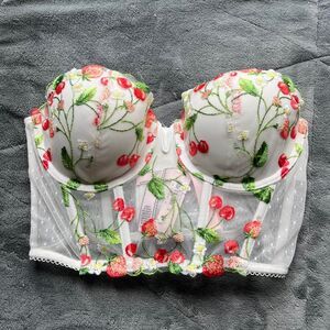 Victoria's Secret Dream Angels Strawberry Embroidered Longline Bra/Bustier 34C
